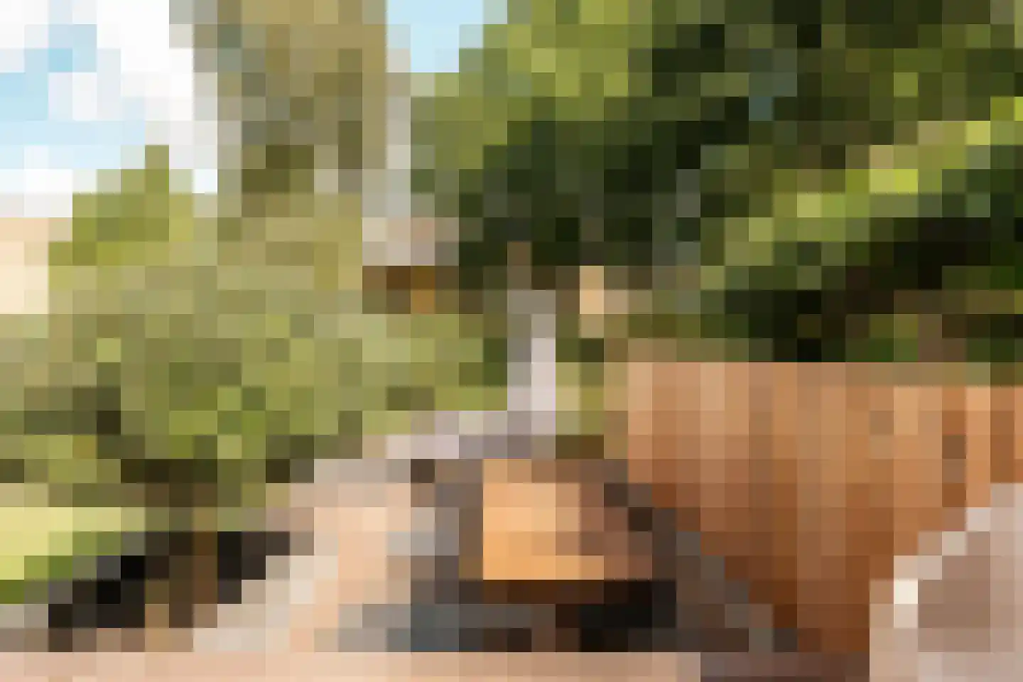 Prins Bernhardstraat 10 Nootdorp thumbnail 36