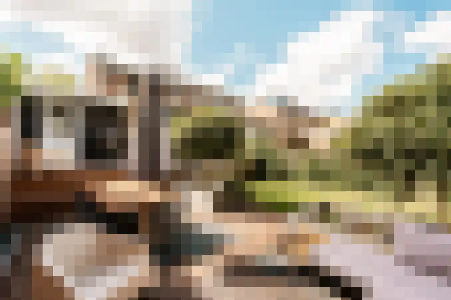 Prins Bernhardstraat 10 Nootdorp thumbnail 38