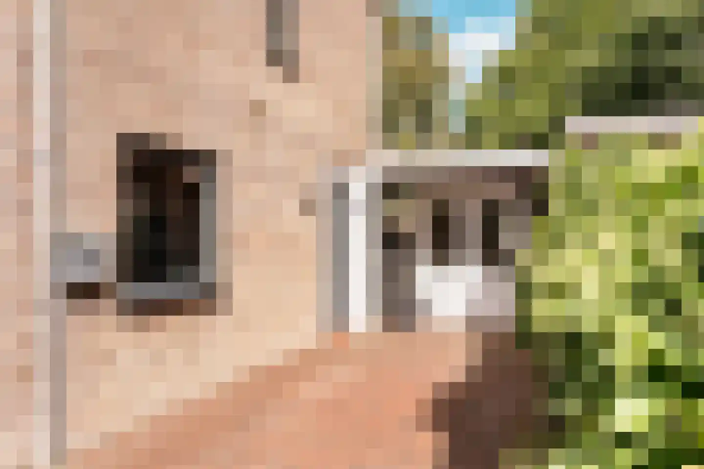 Prins Bernhardstraat 10 Nootdorp thumbnail 40