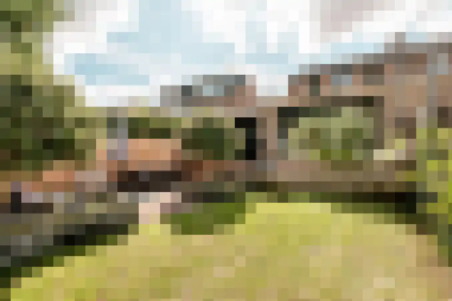 Prins Bernhardstraat 10 Nootdorp thumbnail 42
