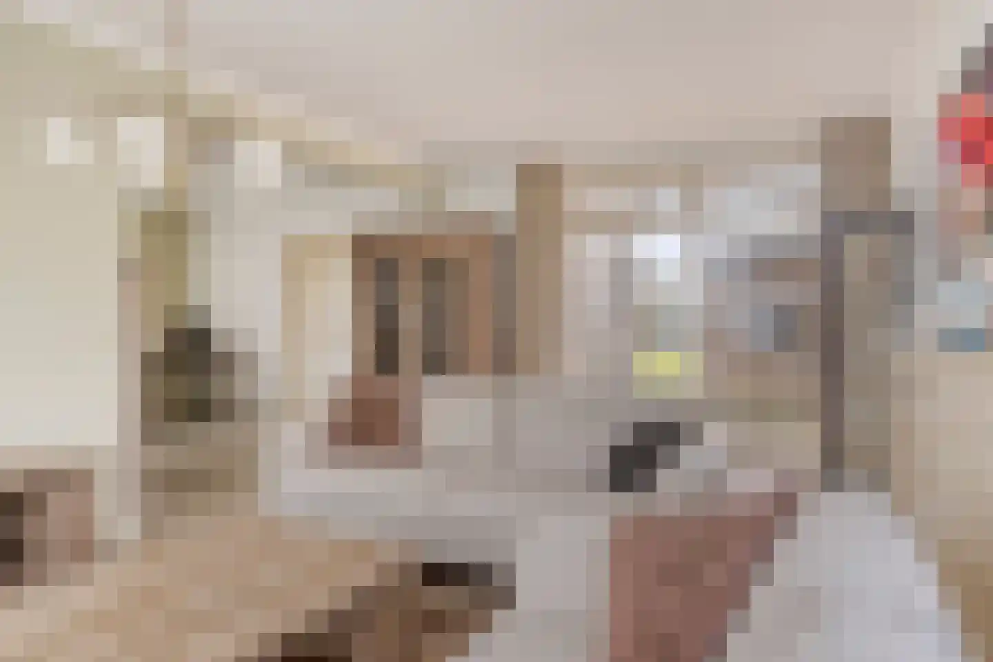 Prins Bernhardstraat 10 Ooij thumbnail 11