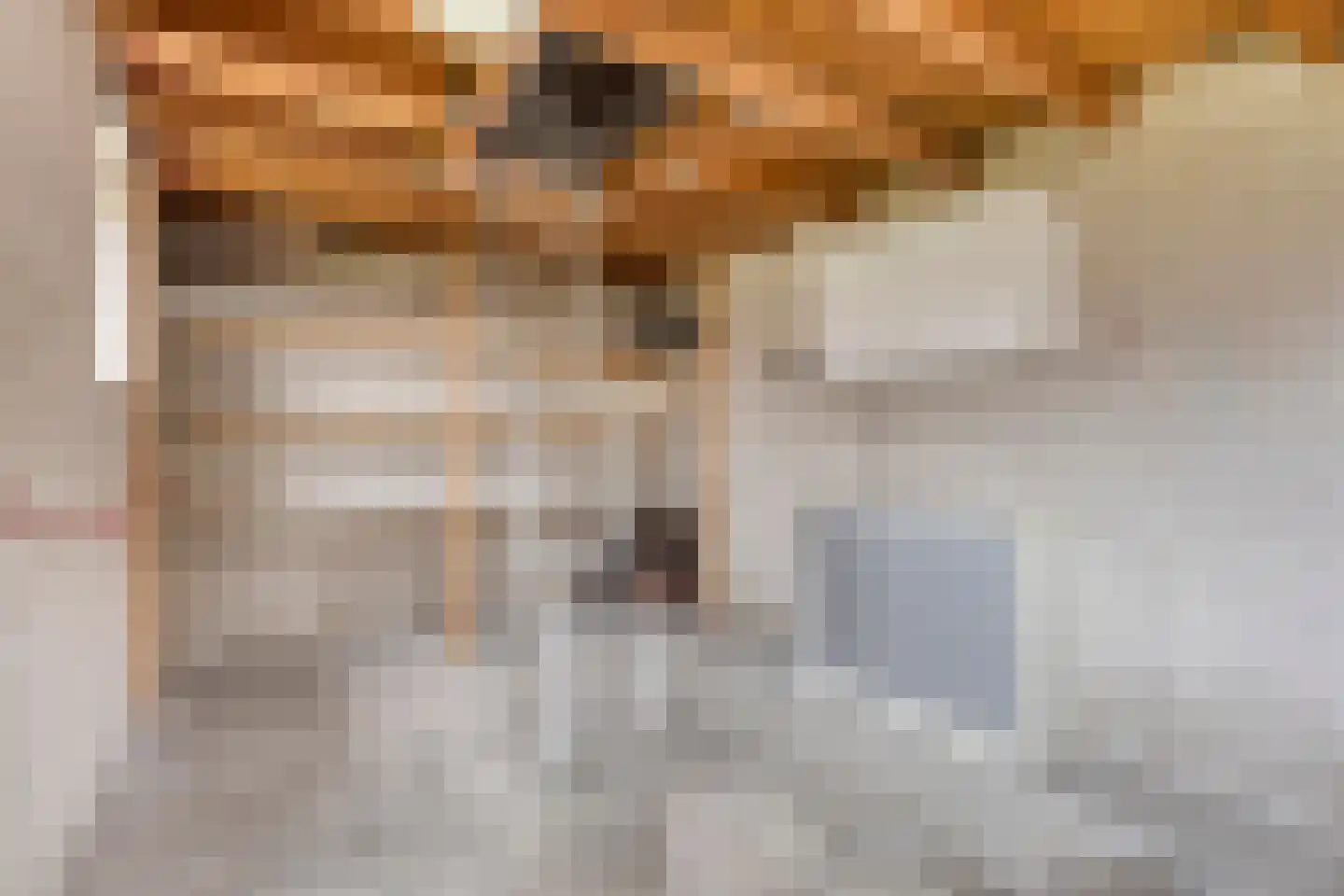 Prins Bernhardstraat 10 Ooij thumbnail 36