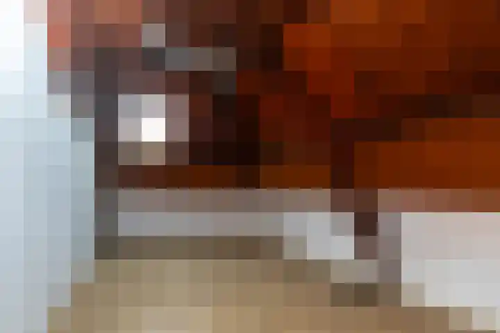 Prins Bernhardstraat 10 Raamsdonksveer thumbnail 25
