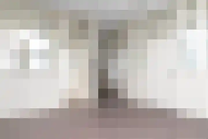 Prins Bernhardstraat 10 Raamsdonksveer thumbnail 8