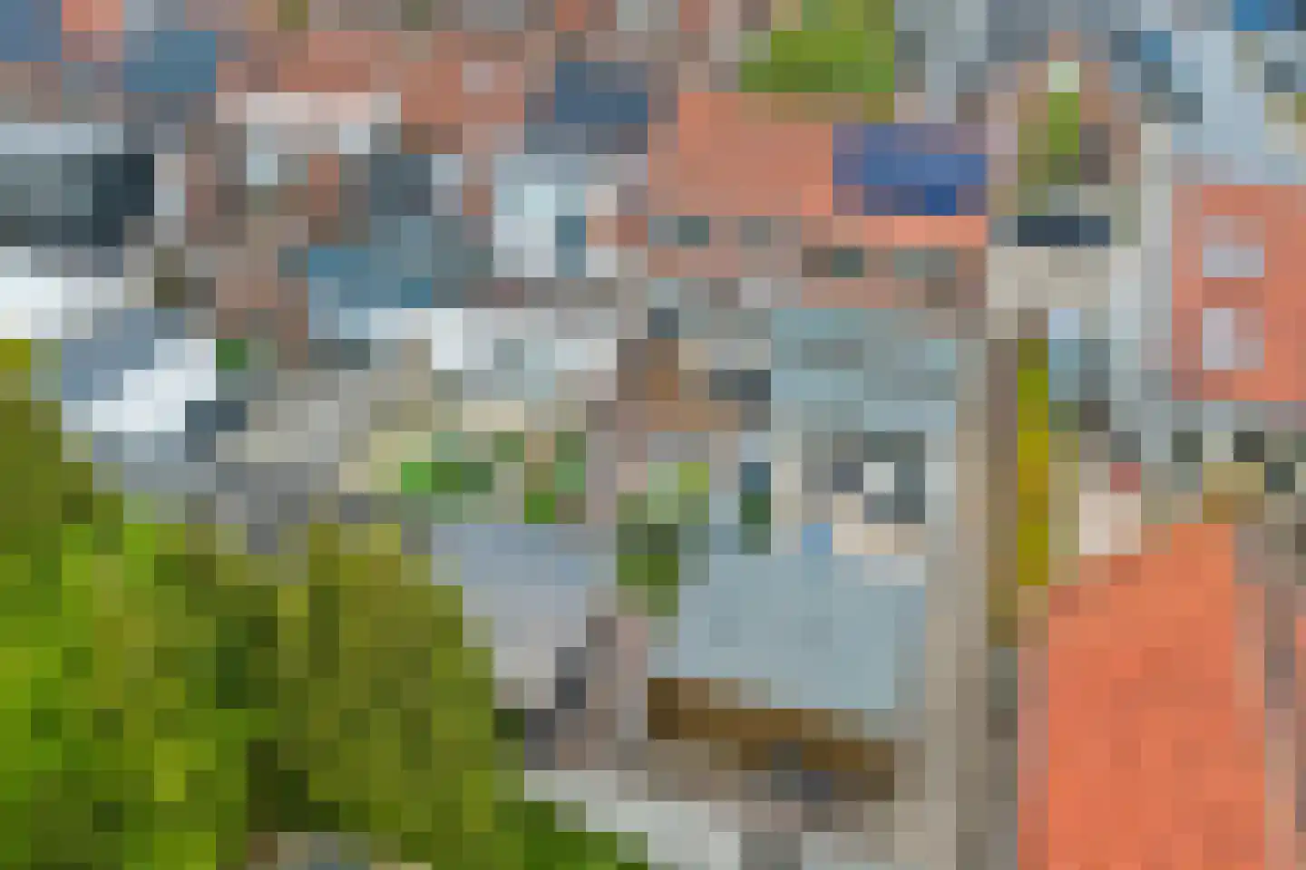 Prins Bernhardstraat 101 Oud-Beijerland thumbnail 39