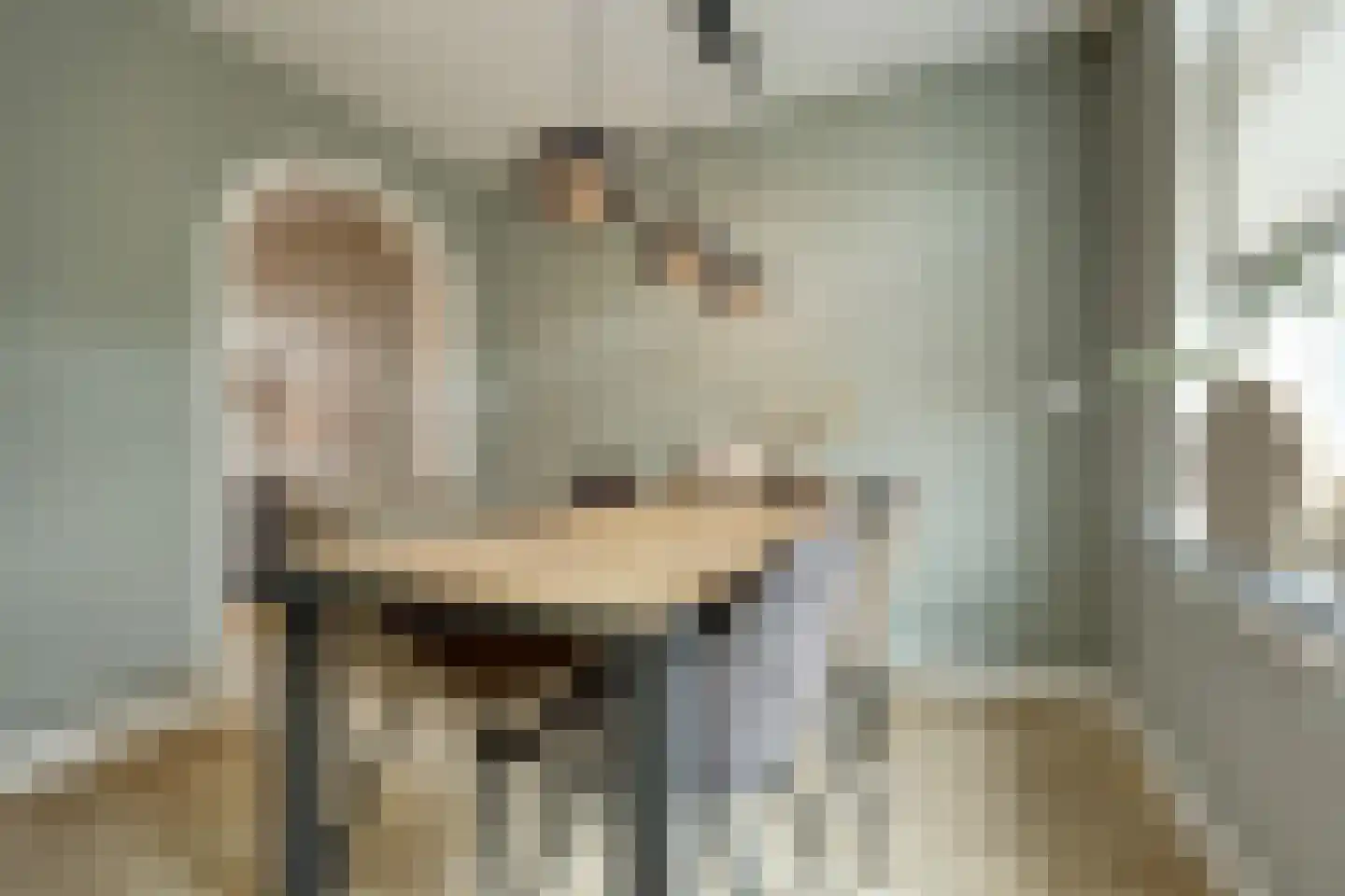Prins Bernhardstraat 101 Oud-Beijerland thumbnail 9