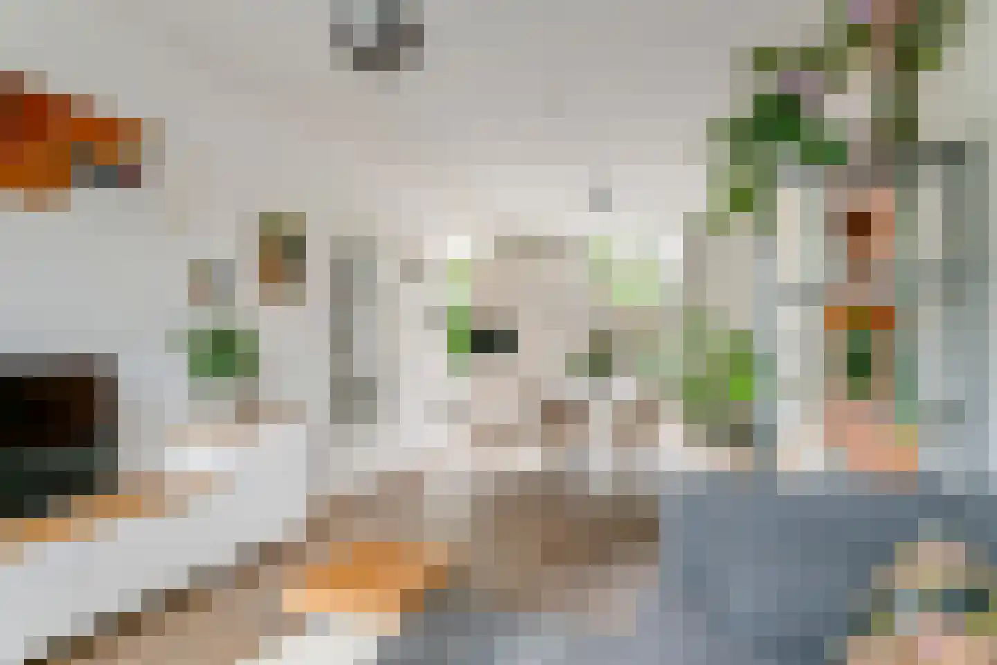 Prins Bernhardstraat 11 Culemborg thumbnail 11