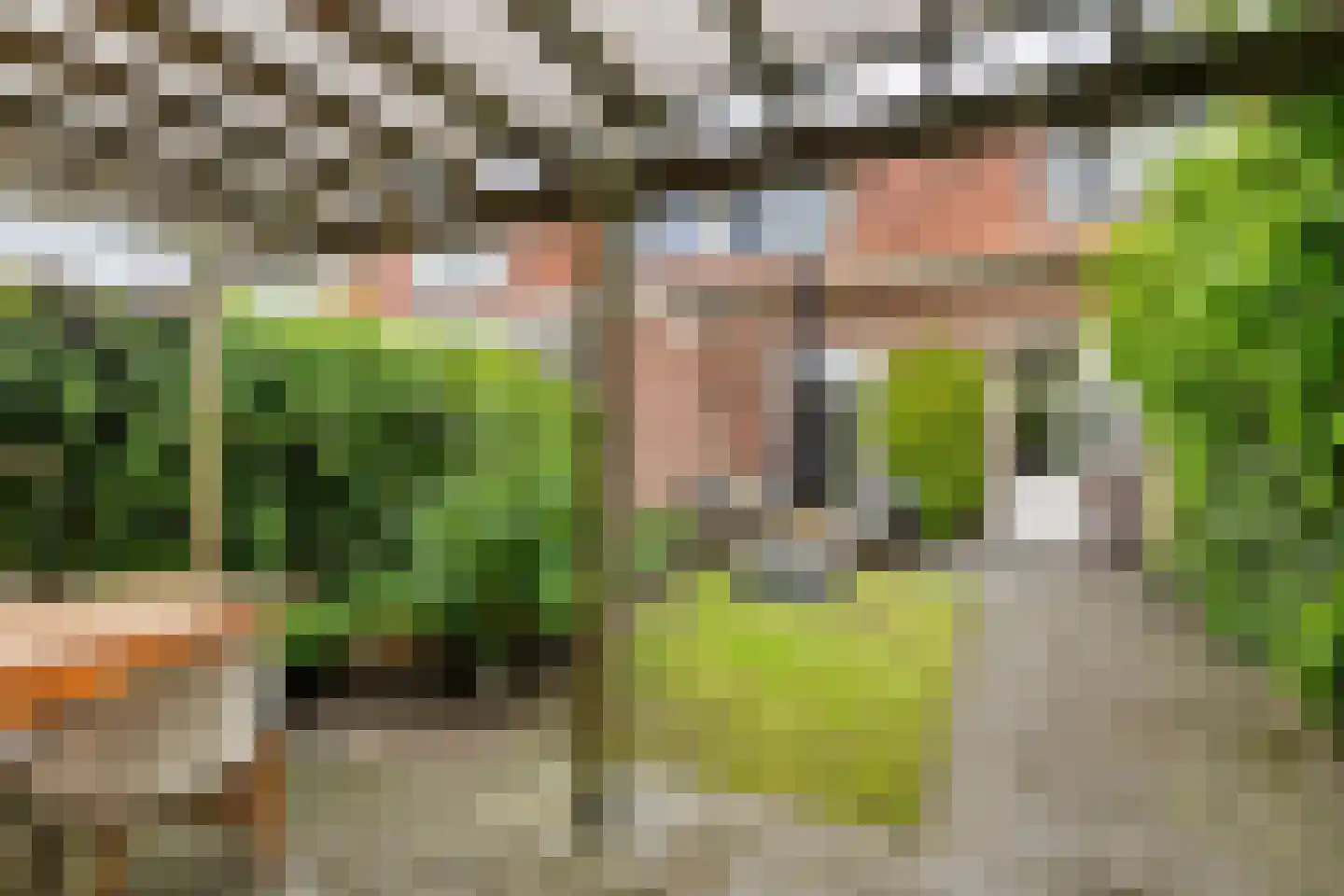 Prins Bernhardstraat 11 Culemborg thumbnail 25