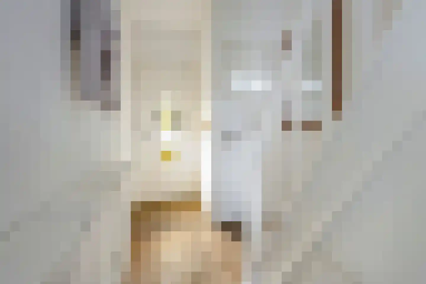 Prins Bernhardstraat 11 Culemborg thumbnail 30