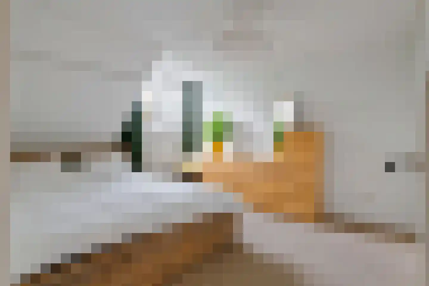 Prins Bernhardstraat 11 Culemborg thumbnail 34