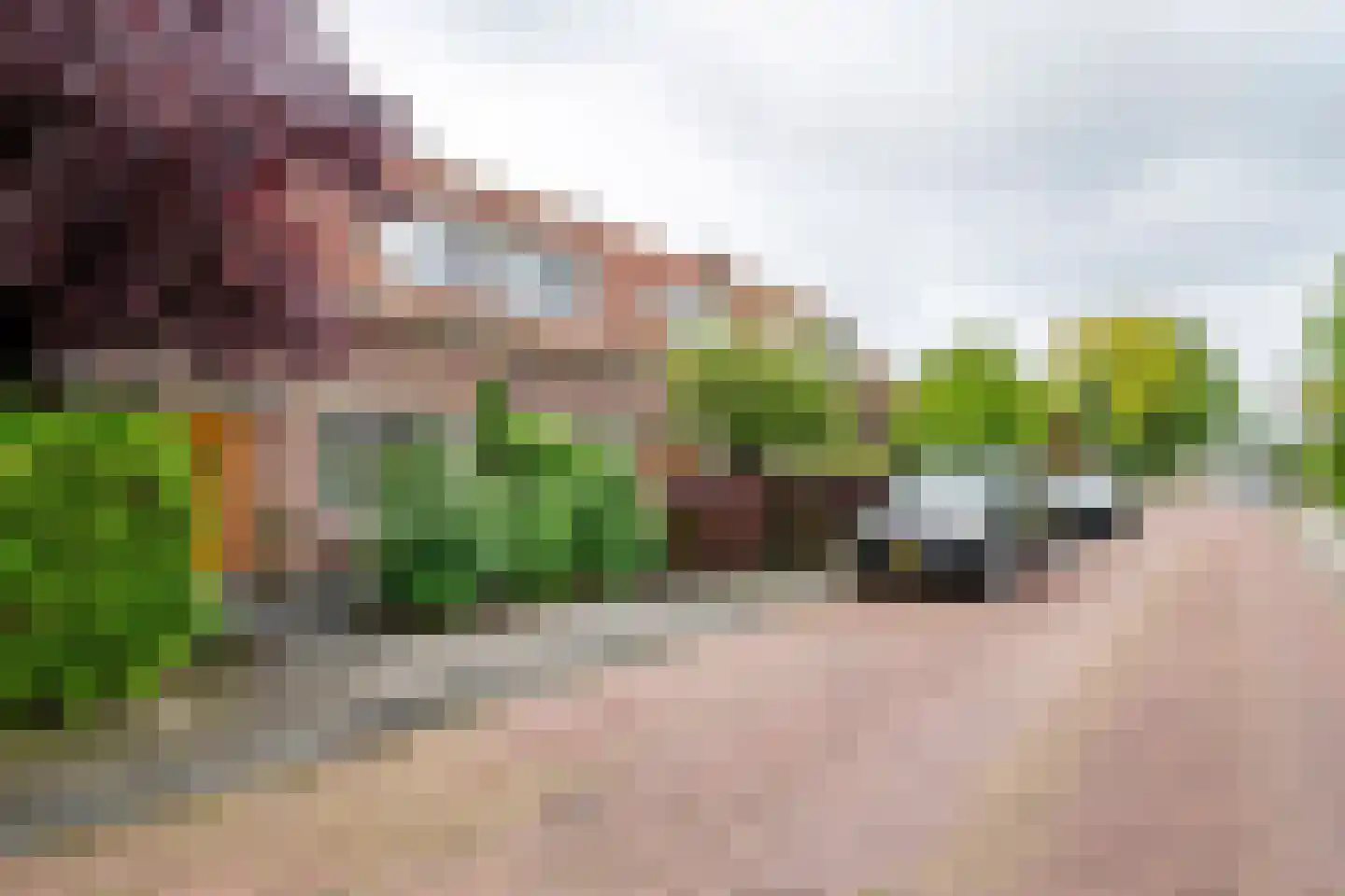 Prins Bernhardstraat 11 Culemborg thumbnail 48