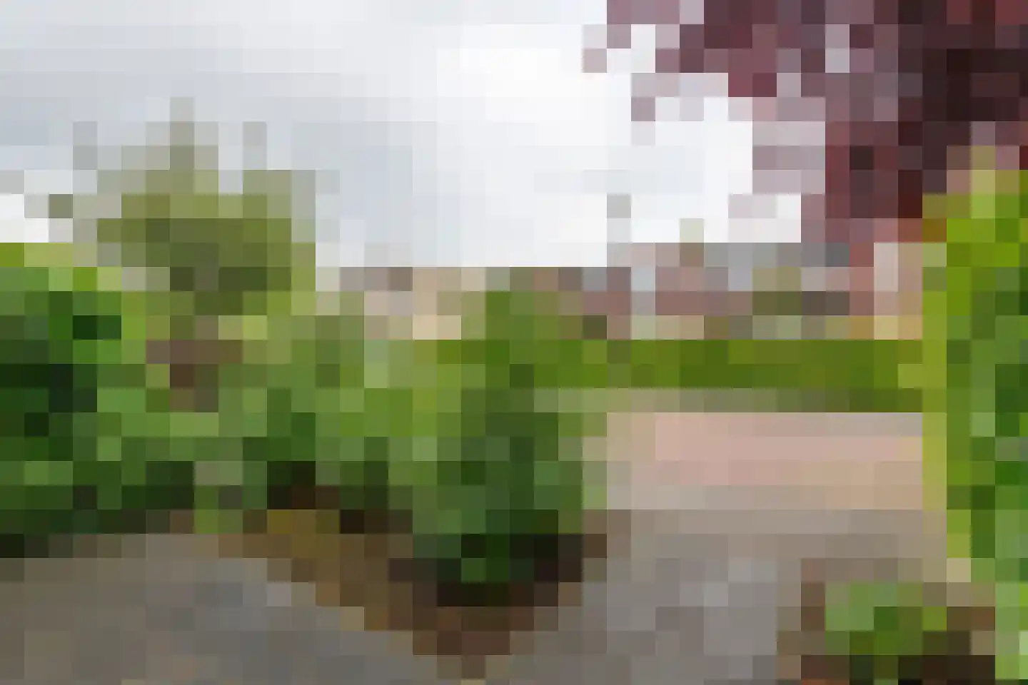 Prins Bernhardstraat 11 Culemborg thumbnail 6