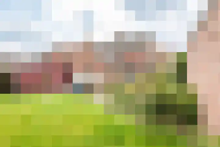 Prins Bernhardstraat 11 Dinxperlo thumbnail 33