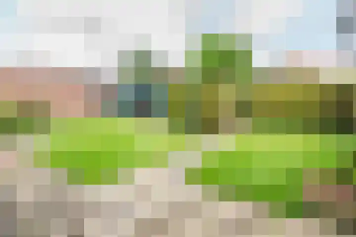 Prins Bernhardstraat 11 Dinxperlo thumbnail 34