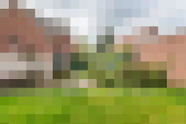 Prins Bernhardstraat 11 Dinxperlo thumbnail 37