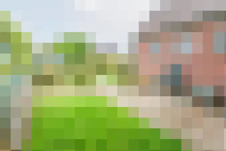 Prins Bernhardstraat 11 Dinxperlo thumbnail 38
