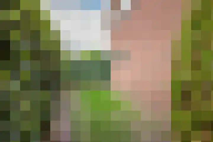 Prins Bernhardstraat 11 Dinxperlo thumbnail 40