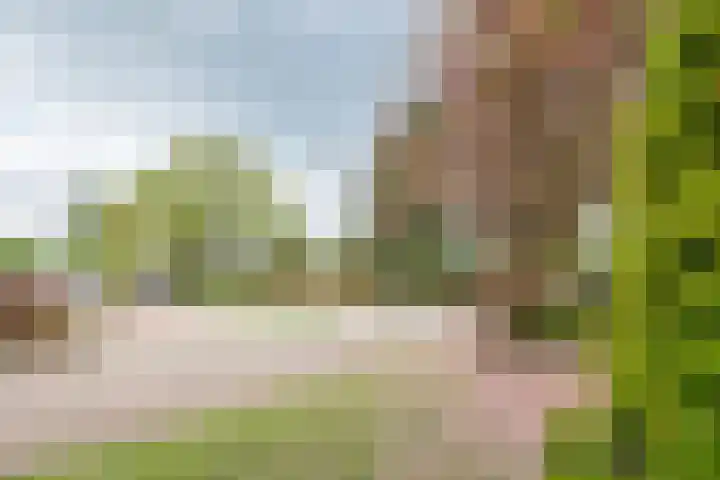 Prins Bernhardstraat 11 Dinxperlo thumbnail 41