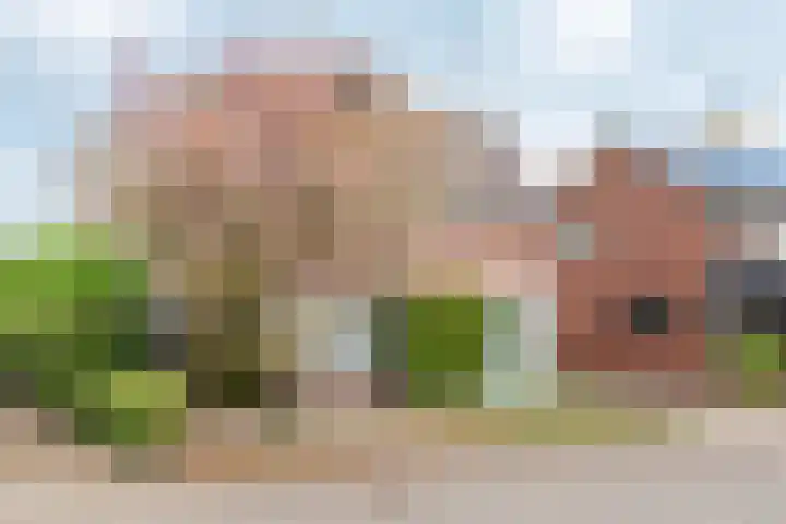 Prins Bernhardstraat 11 Dinxperlo thumbnail 42