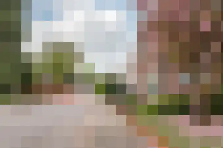 Prins Bernhardstraat 11 Dinxperlo thumbnail 43
