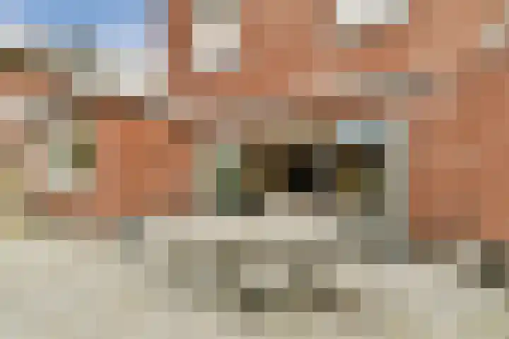 Prins Bernhardstraat 11 Sassenheim thumbnail 16