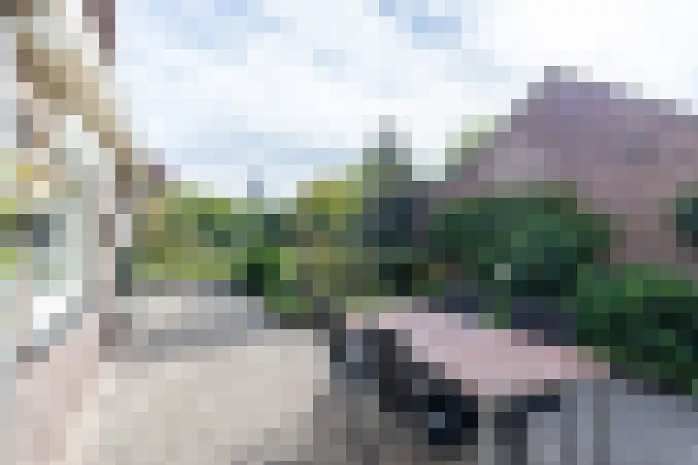 Prins Bernhardstraat 12 Boxtel thumbnail 30