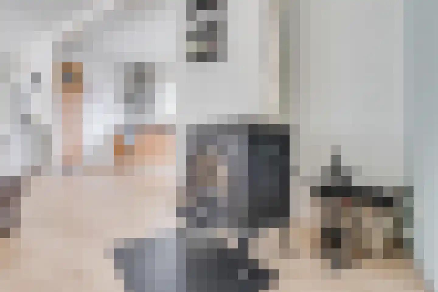 Prins Bernhardstraat 12 Broek op Langedijk thumbnail 12
