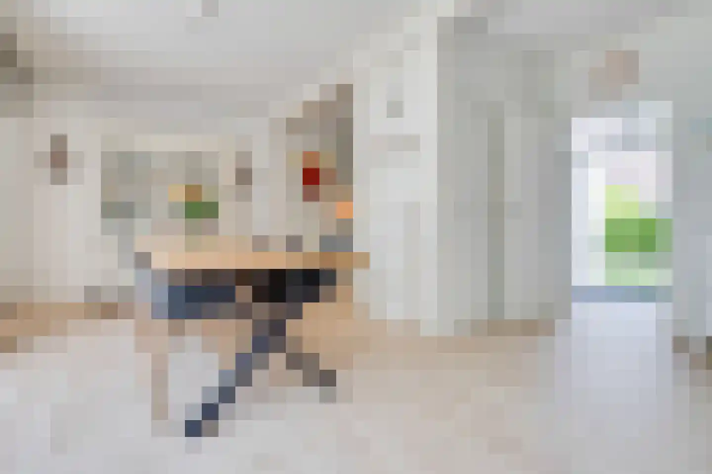 Prins Bernhardstraat 12 Broek op Langedijk thumbnail 16