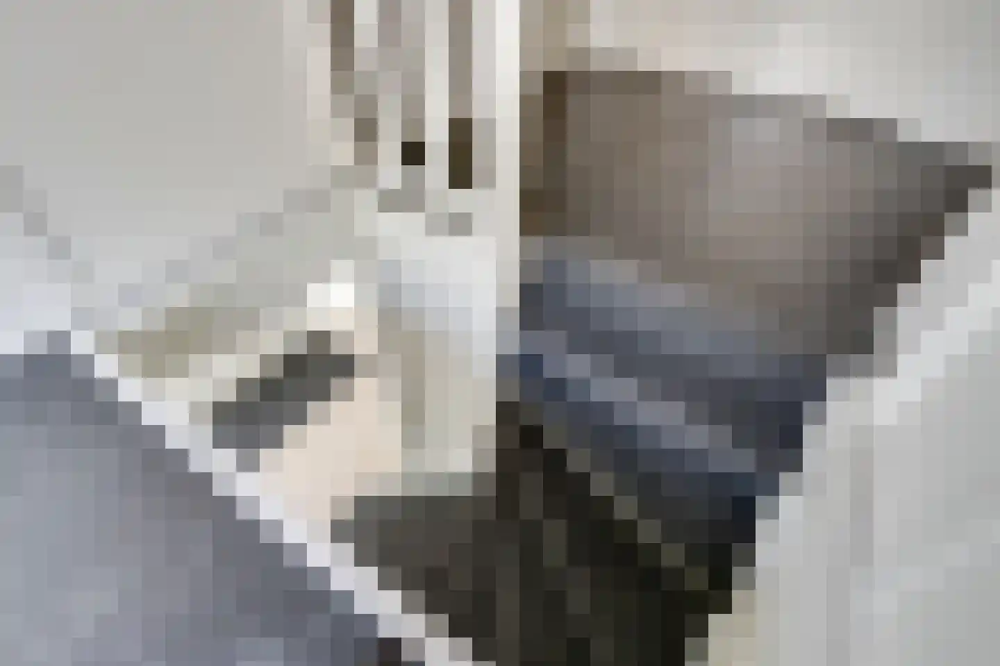 Prins Bernhardstraat 12 Broek op Langedijk thumbnail 30