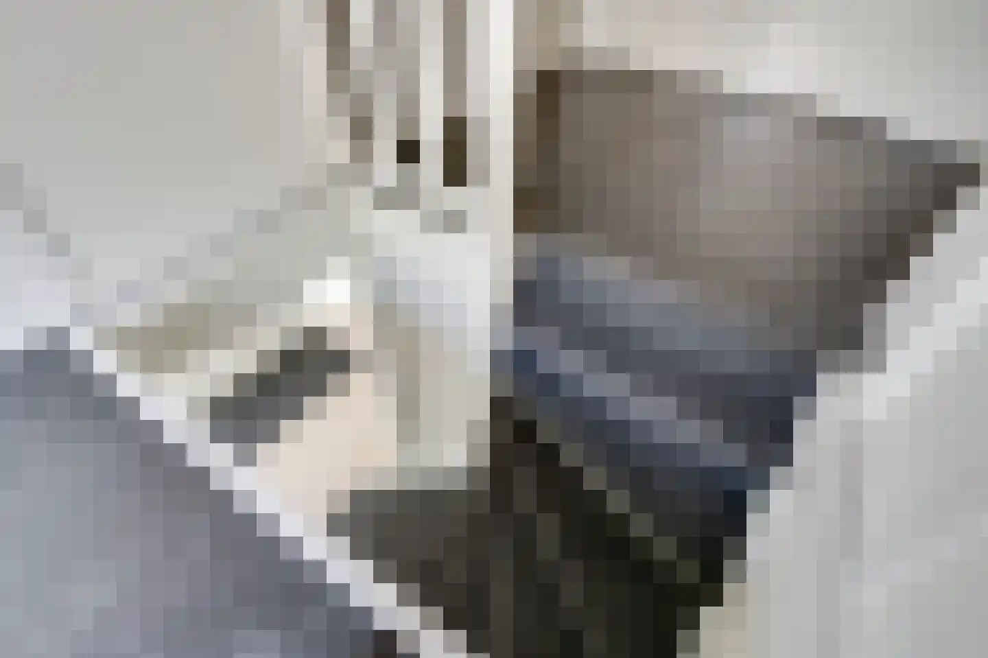Prins Bernhardstraat 12 Broek op Langedijk thumbnail 32