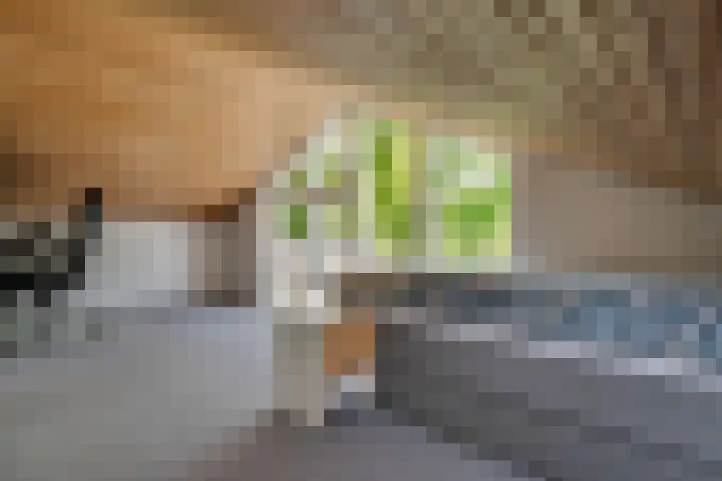 Prins Bernhardstraat 12 Broek op Langedijk thumbnail 33