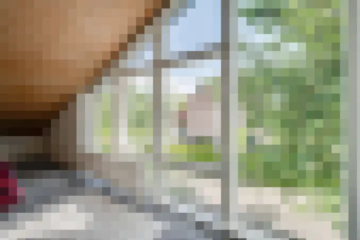 Prins Bernhardstraat 12 Broek op Langedijk thumbnail 36