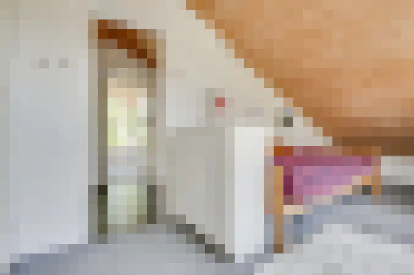 Prins Bernhardstraat 12 Broek op Langedijk thumbnail 38