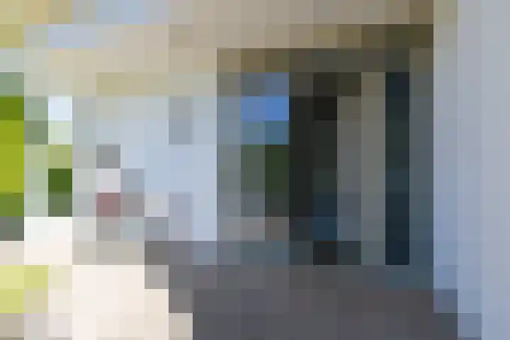 Prins Bernhardstraat 12 Duiven thumbnail 11