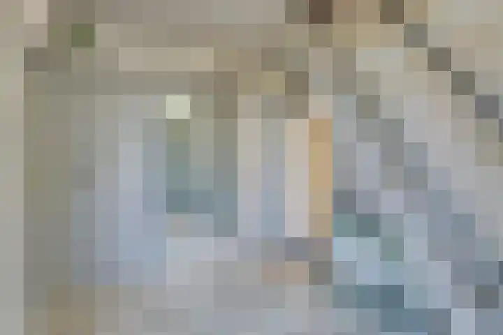Prins Bernhardstraat 12 Duiven thumbnail 12