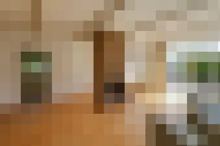 Prins Bernhardstraat 12 Duiven thumbnail 14