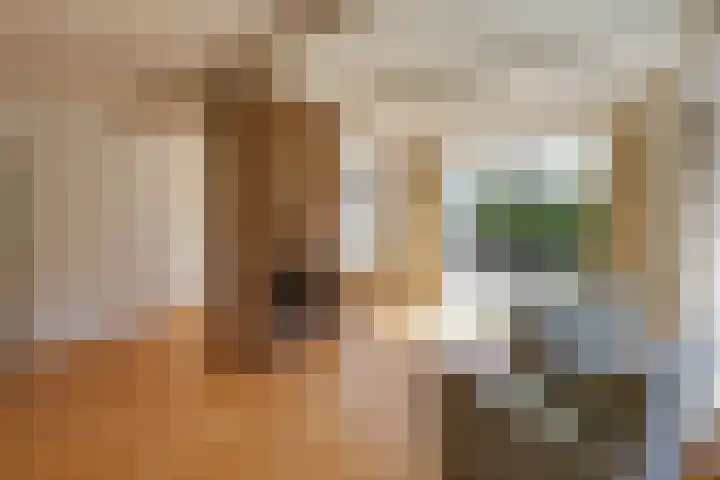 Prins Bernhardstraat 12 Duiven thumbnail 16