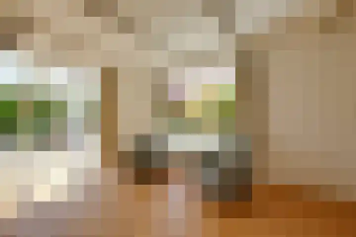 Prins Bernhardstraat 12 Duiven thumbnail 17