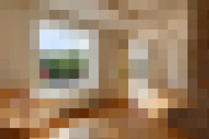 Prins Bernhardstraat 12 Duiven thumbnail 22