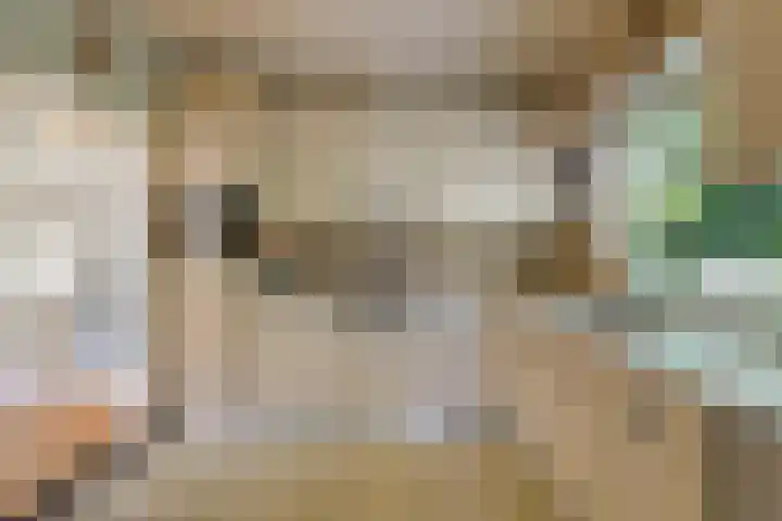 Prins Bernhardstraat 12 Duiven thumbnail 25