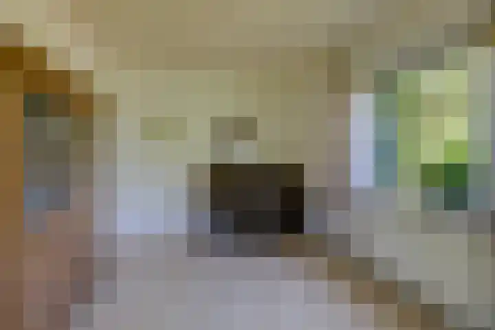 Prins Bernhardstraat 12 Duiven thumbnail 30