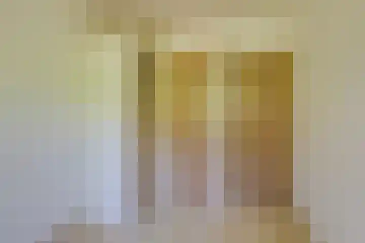 Prins Bernhardstraat 12 Duiven thumbnail 32