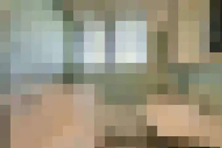 Prins Bernhardstraat 12 Duiven thumbnail 33