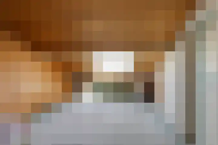 Prins Bernhardstraat 12 Duiven thumbnail 41