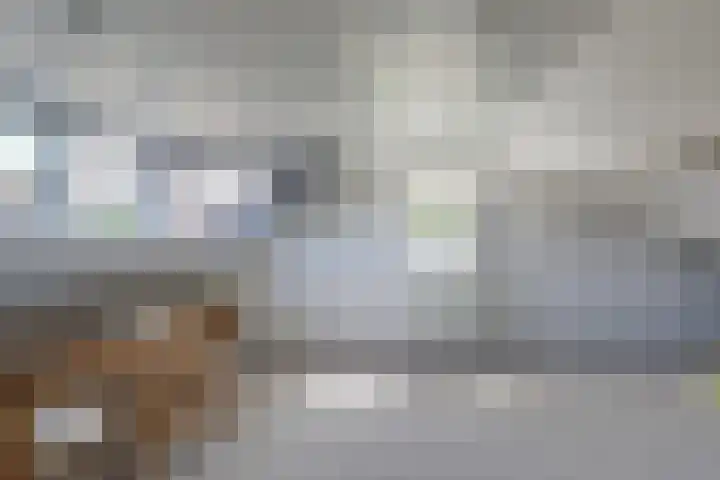 Prins Bernhardstraat 12 Duiven thumbnail 44