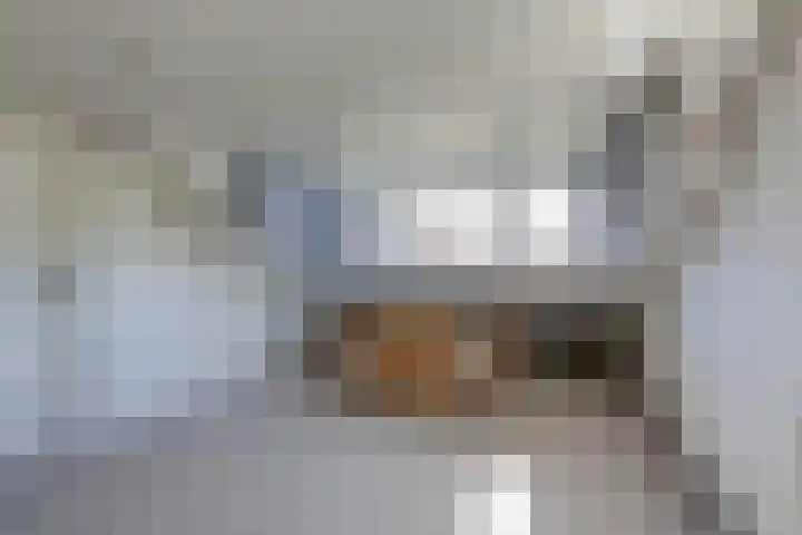 Prins Bernhardstraat 12 Duiven thumbnail 46
