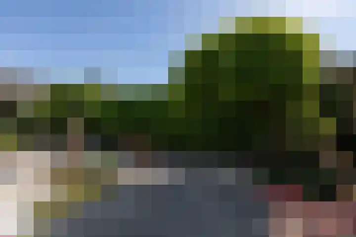 Prins Bernhardstraat 12 Duiven thumbnail 50