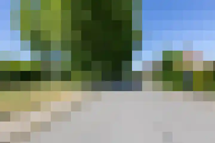 Prins Bernhardstraat 12 Duiven thumbnail 66