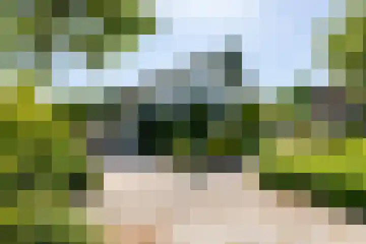 Prins Bernhardstraat 12 Duiven thumbnail 7