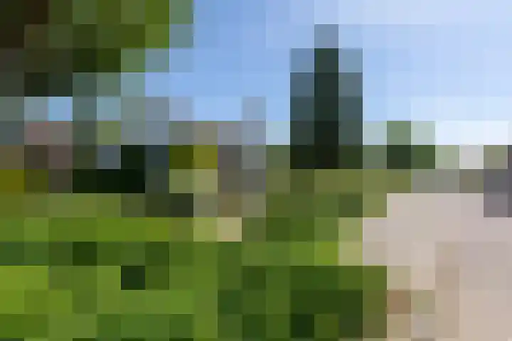 Prins Bernhardstraat 12 Duiven thumbnail 9